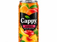 Cappy Karışık (33 cl)