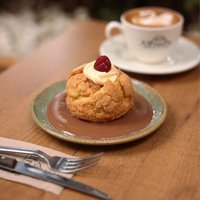 Belgium Cream Puff