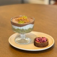Dubai Cup Vasan